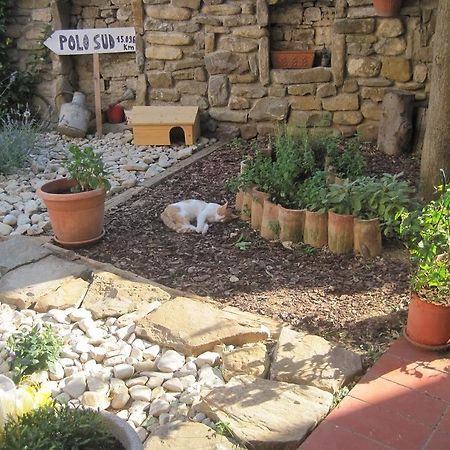 Rosandra Bed & Breakfast San Dorligo della Valle Exterior foto