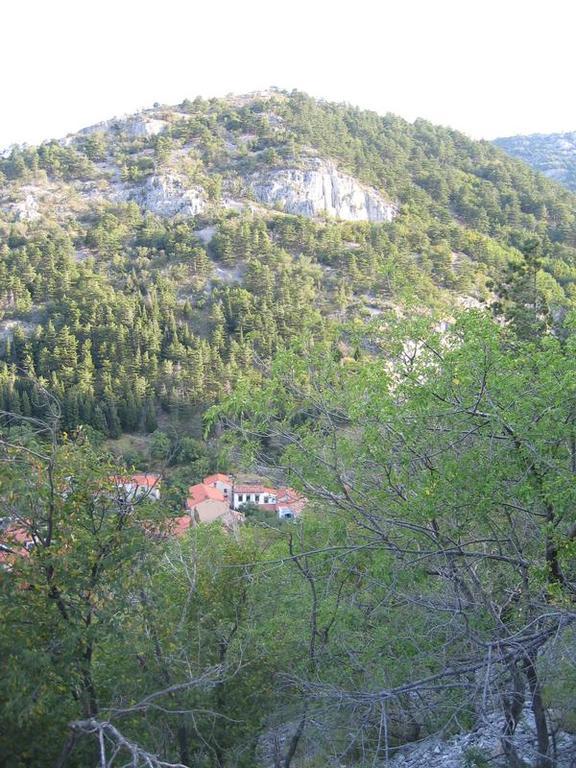 Rosandra Bed & Breakfast San Dorligo della Valle Exterior foto